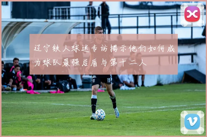 辽宁铁人球迷专访揭示他们如何成为球队最强后盾与第十二人