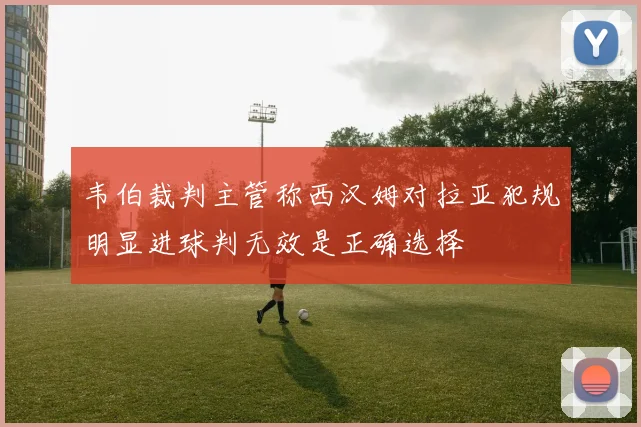 韦伯裁判主管称西汉姆对拉亚犯规明显进球判无效是正确选择
